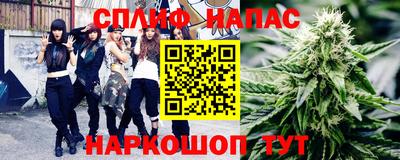 apvp Гусев
