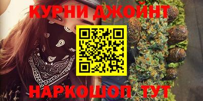 apvp Гусев