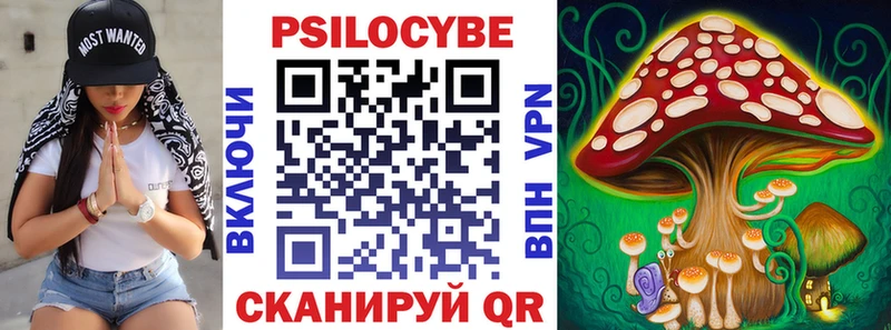 Галлюциногенные грибы Psilocybine cubensis  Новоалтайск 