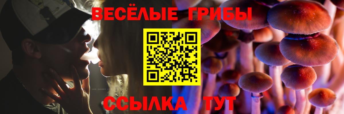 Псилоцибиновые грибы Cubensis  Псилоцибиновые грибы Psilocybe  Новоалтайск  Вход с VPN 