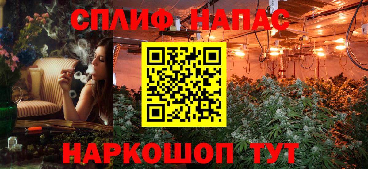 Шишки марихуана планчик Новоалтайск